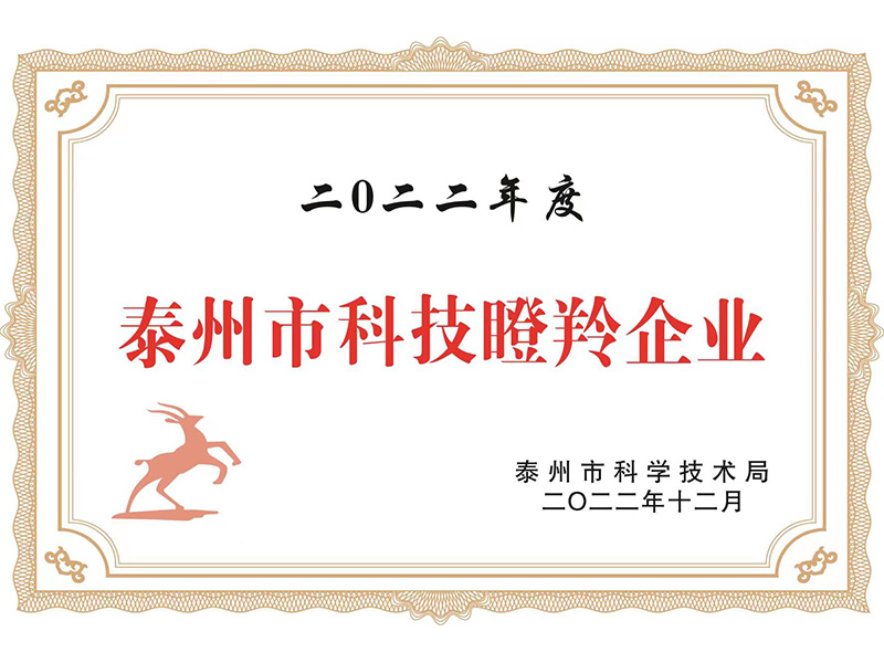 Taizhou Science and Technology Gazelle Enterprise Certificate